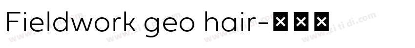 Fieldwork geo hair字体转换